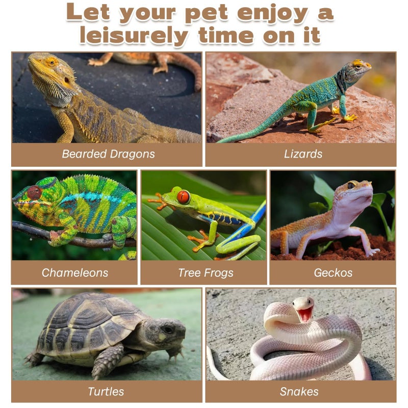 kathson Bearded Dragon Hammock, Natural Seagrass Reptile Hammock, Reptile Lounger Bearded Dragon Tank Accessories for Chameleons, Lizards, Geckos, Snakes, Lguana Reptiles, Geckos (29.52 x 7.08 inches) - Image 5